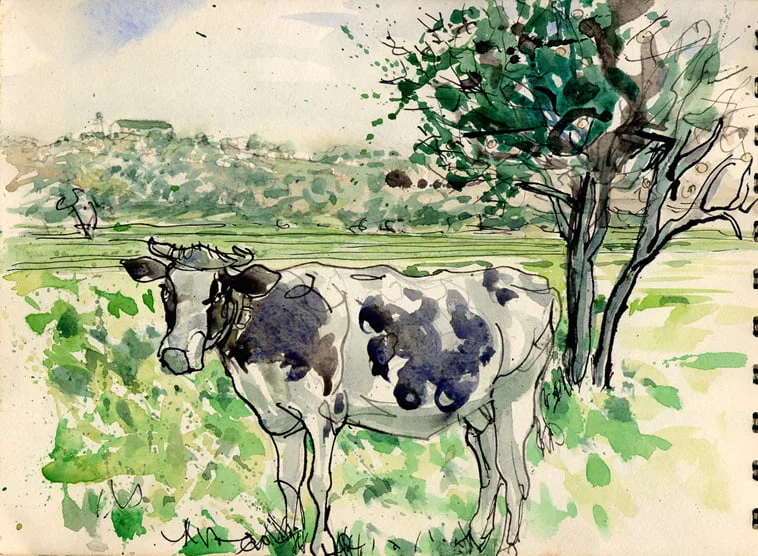 sketch.Odemira2015-13_lres