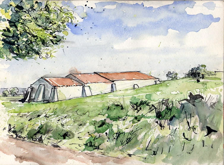 sketch.Odemira2015-16_lres