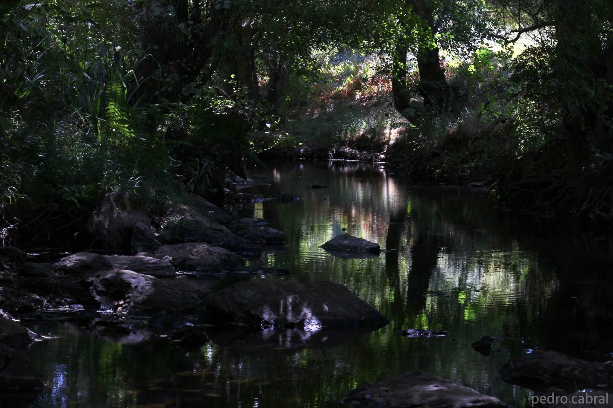 Alentejo 2017